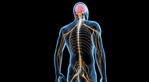 Manchester chiropractic  and spinal manipulation benefits for back and neck pain