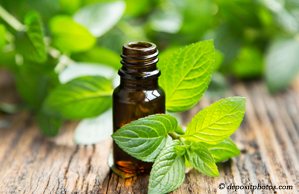Manchester peppermint pain relieving benefits