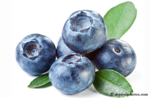 Manchester chiropractic and nutritious blueberries